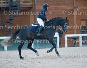 Caletto della Verdina Tosc Tour2013- S5 1901 : Arezzo, Caletto della Verdina, Cavalli d'Italia, Toscana Tour 2013, foto di Stefano Secchi ©